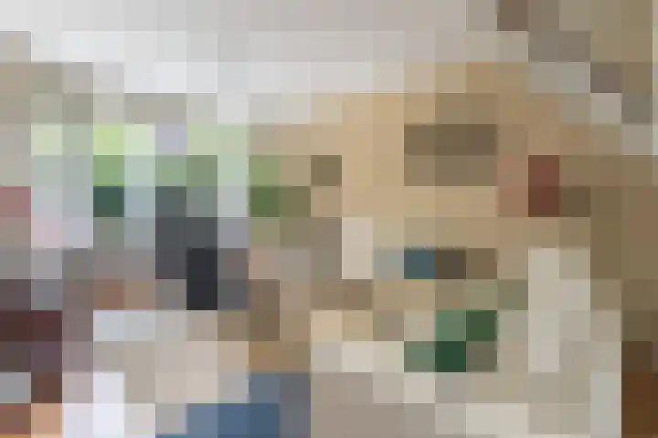 Brinkhorst 17 Leusden thumbnail 9