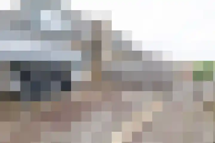 Brinkhorstweg 2 F Apeldoorn thumbnail 16