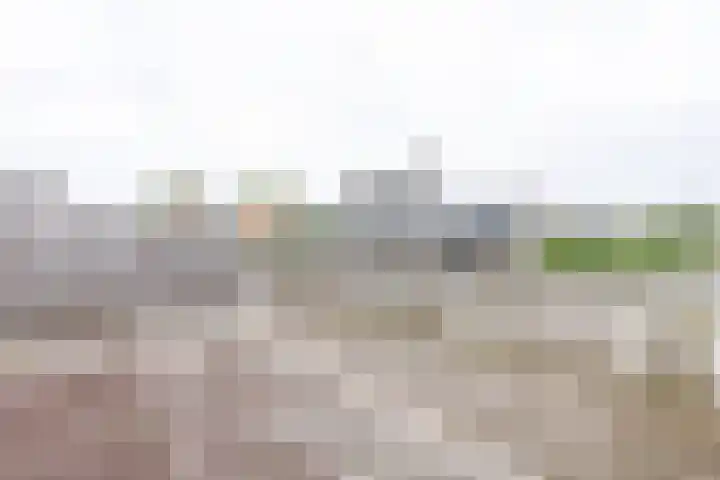 Brinkhorstweg 2 F Apeldoorn thumbnail 17