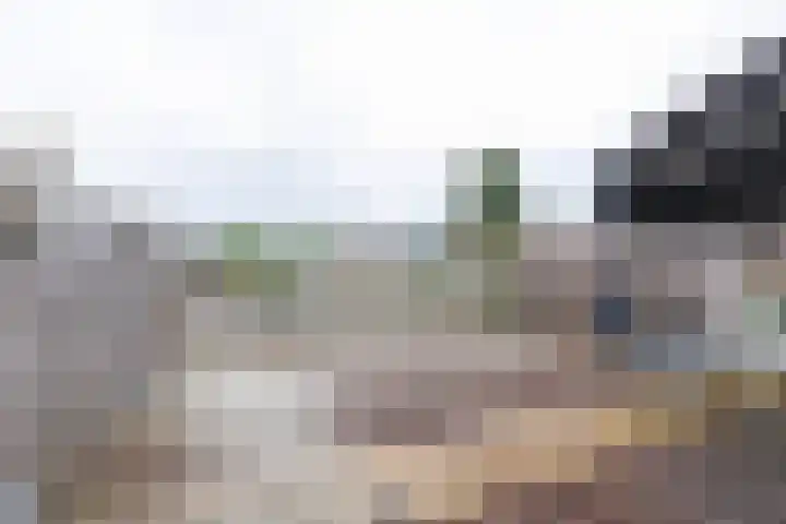 Brinkhorstweg 2 F Apeldoorn thumbnail 4