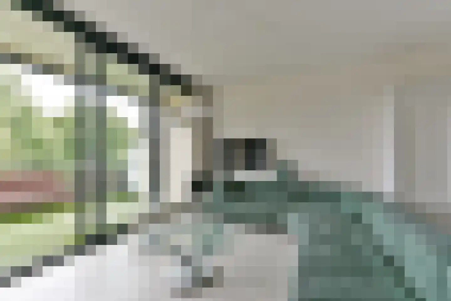 Brinkhove 27 Zeist thumbnail 24