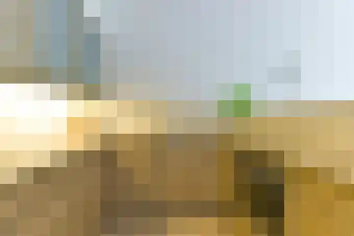 Brinkhove 35 Zeist thumbnail 17