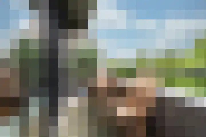 Brinkhove 35 Zeist thumbnail 19