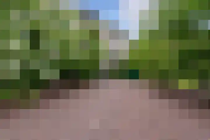 Brinkhove 35 Zeist thumbnail 8