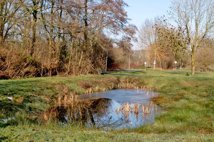 Brinkkamp 6 Beilen thumbnail 46