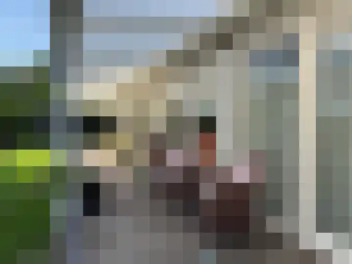 Brinkkampen 1 Dalen thumbnail 16