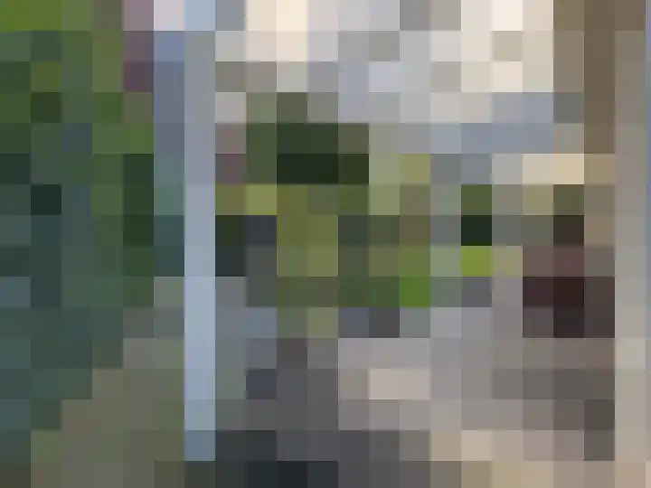 Brinkkampen 1 Dalen thumbnail 17