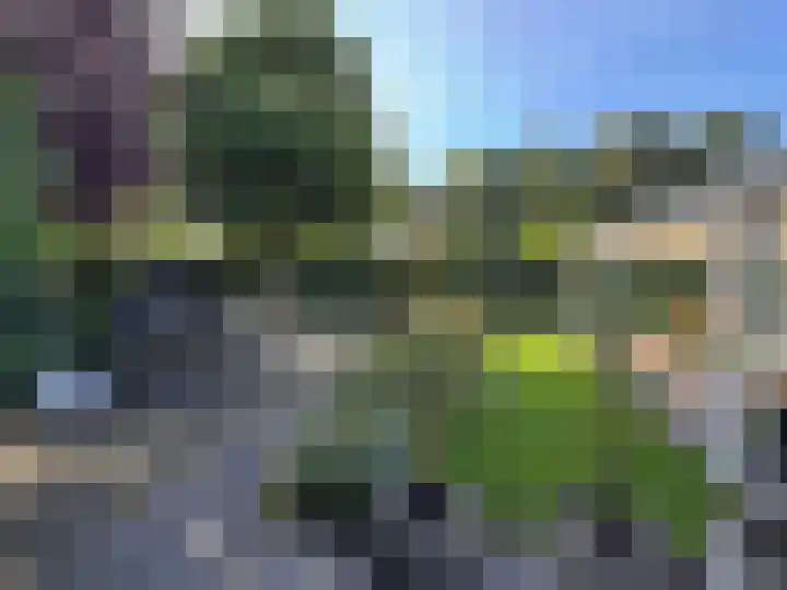 Brinkkampen 1 Dalen thumbnail 18