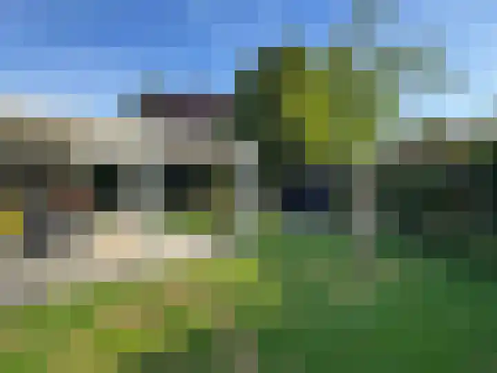 Brinkkampen 1 Dalen thumbnail 21