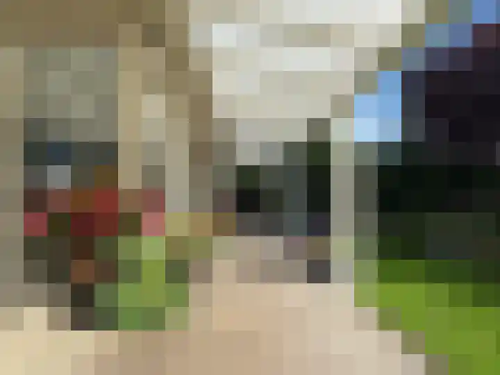 Brinkkampen 1 Dalen thumbnail 24