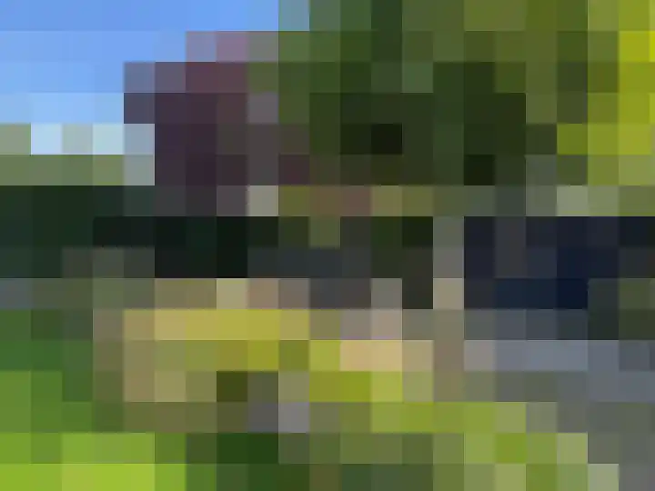 Brinkkampen 1 Dalen thumbnail 25