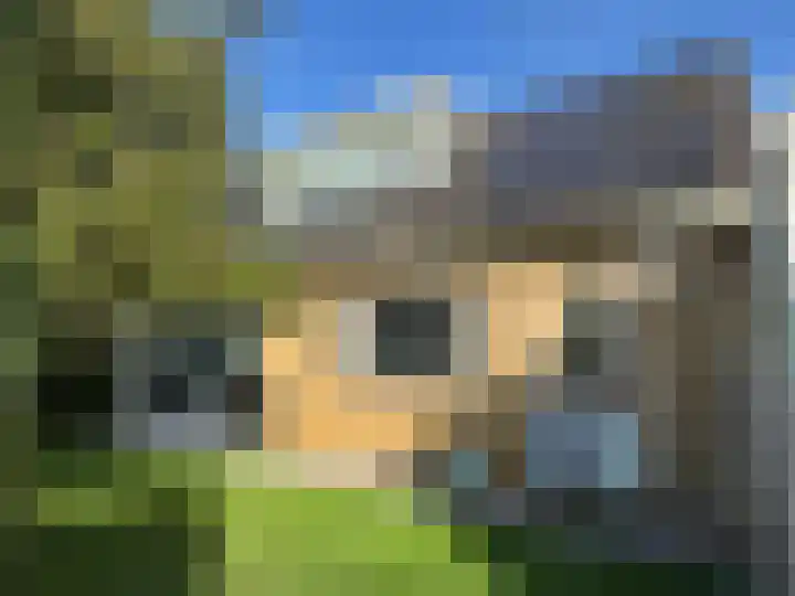 Brinkkampen 1 Dalen thumbnail 26