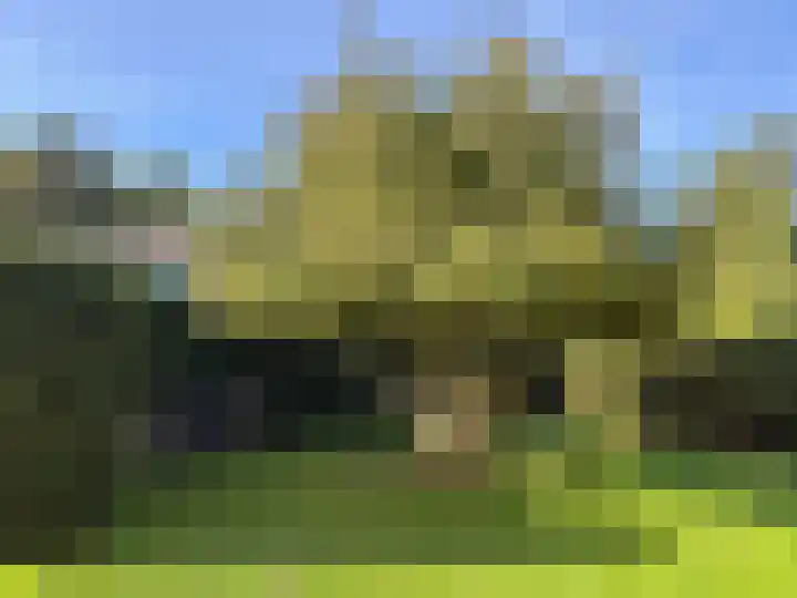 Brinkkampen 1 Dalen thumbnail 27