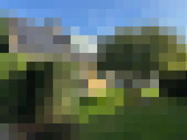 Brinkkampen 1 Dalen thumbnail 28