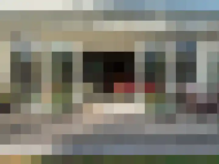 Brinkkampen 1 Dalen thumbnail 30