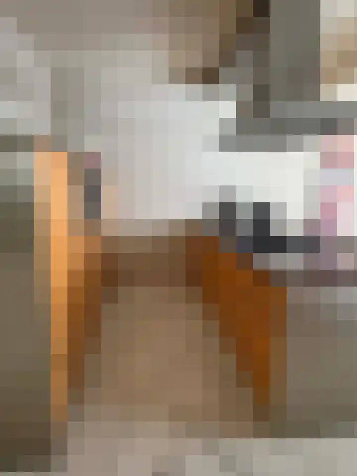 Brinkkampen 1 Dalen thumbnail 37