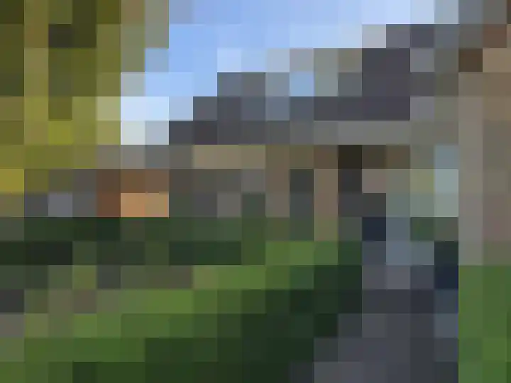 Brinkkampen 1 Dalen thumbnail 4