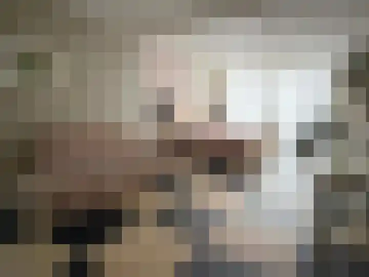 Brinkkampen 1 Dalen thumbnail 45