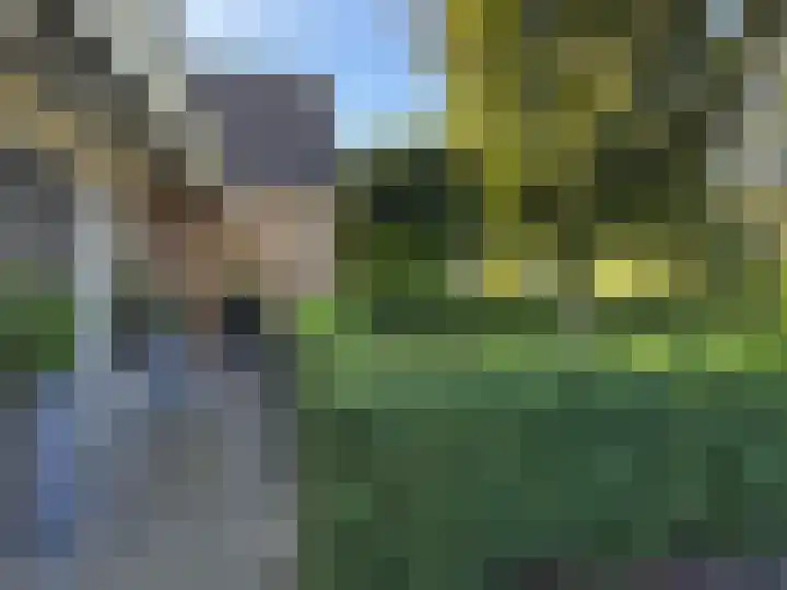 Brinkkampen 1 Dalen thumbnail 5