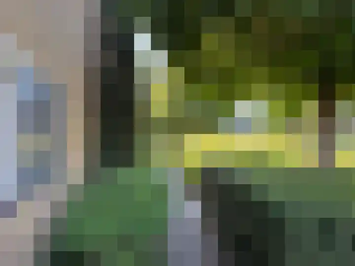 Brinkkampen 1 Dalen thumbnail 6