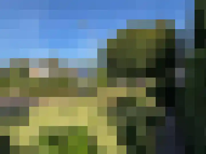 Brinkkampen 1 Dalen thumbnail 8