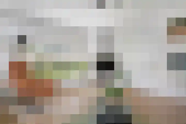 Brinkkampen 13 Spier thumbnail 13