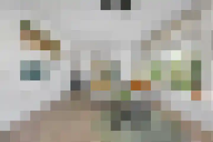 Brinkkampen 13 Spier thumbnail 15