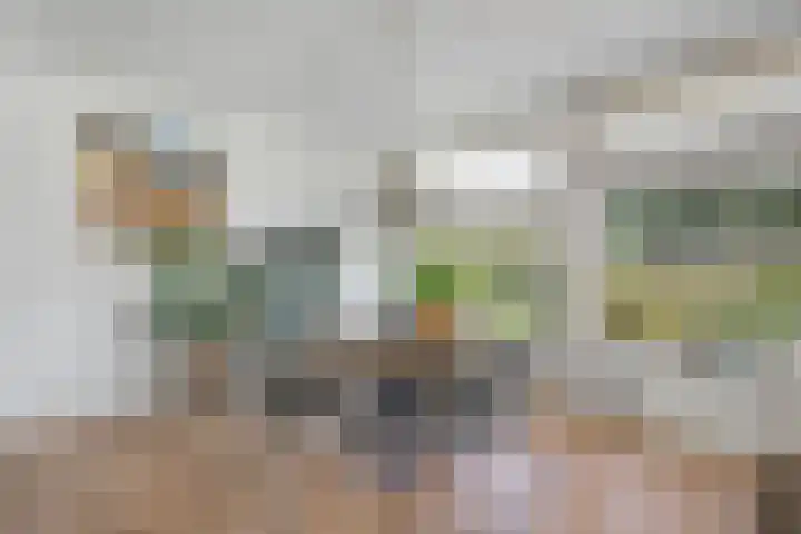 Brinkkampen 13 Spier thumbnail 16