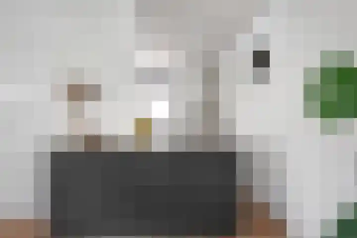 Brinkkampen 13 Spier thumbnail 17