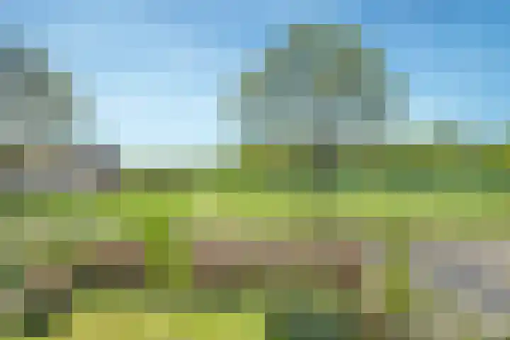 Brinkkampen 13 Spier thumbnail 36