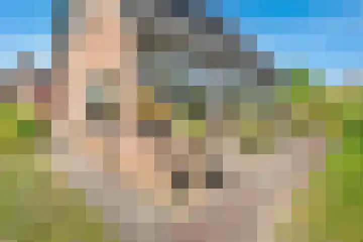 Brinkkampen 13 Spier thumbnail 37