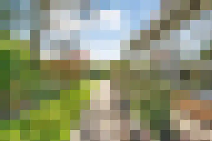 Brinkkampen 13 Spier thumbnail 38