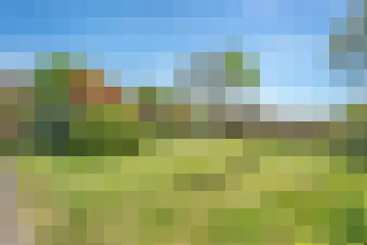 Brinkkampen 13 Spier thumbnail 39