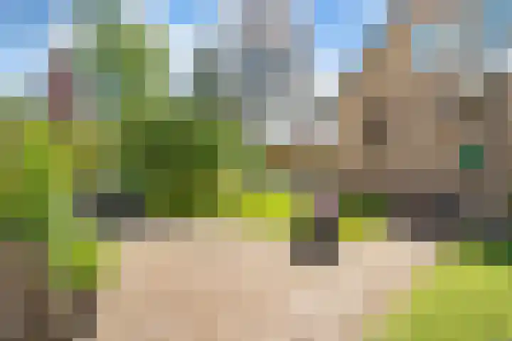 Brinkkampen 13 Spier thumbnail 40