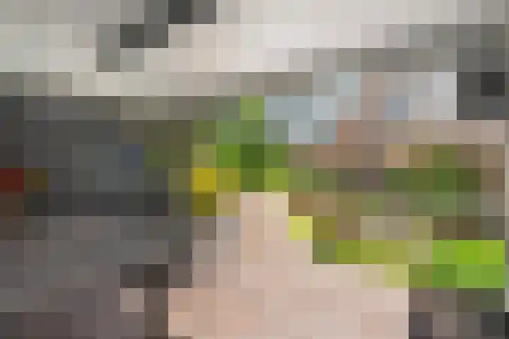 Brinkkampen 13 Spier thumbnail 44