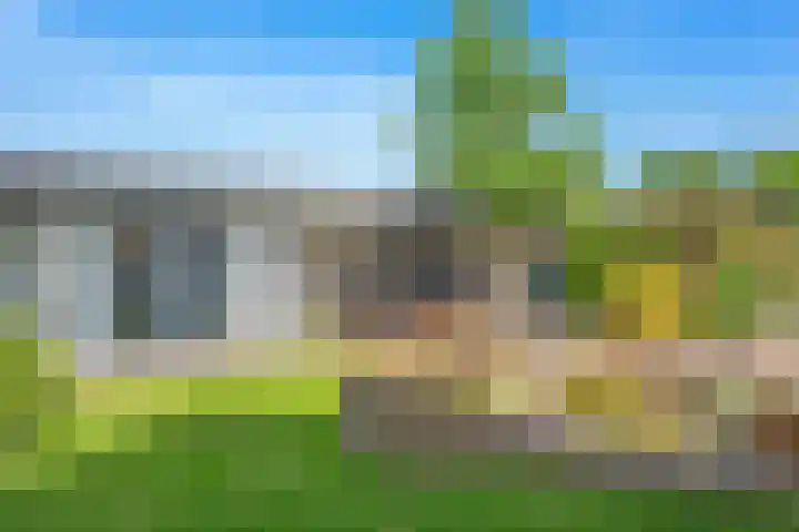 Brinkkampen 13 Spier thumbnail 45