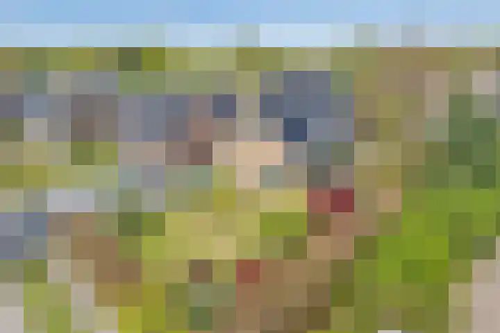 Brinkkampen 13 Spier thumbnail 5