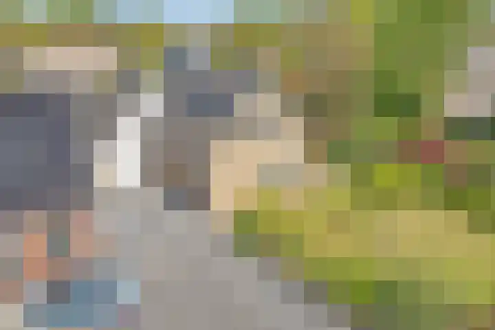 Brinkkampen 13 Spier thumbnail 8