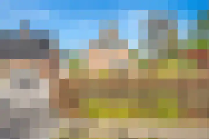 Brinkkampen 13 Spier thumbnail 9