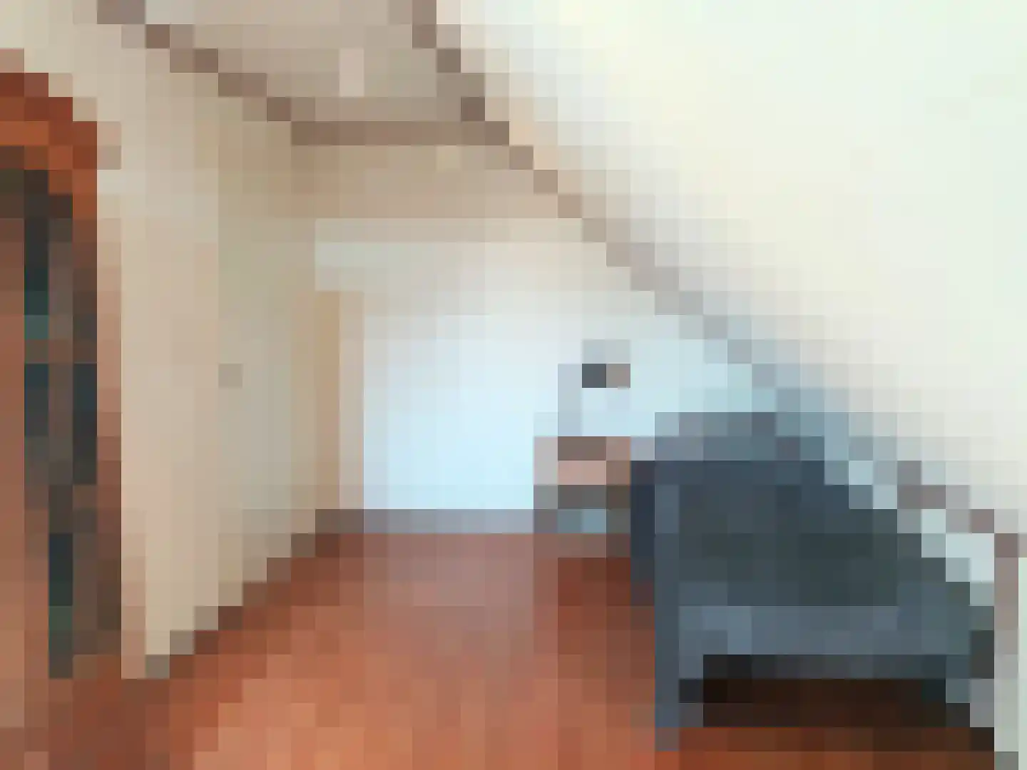 Brinkkampen 15 Spier thumbnail 20