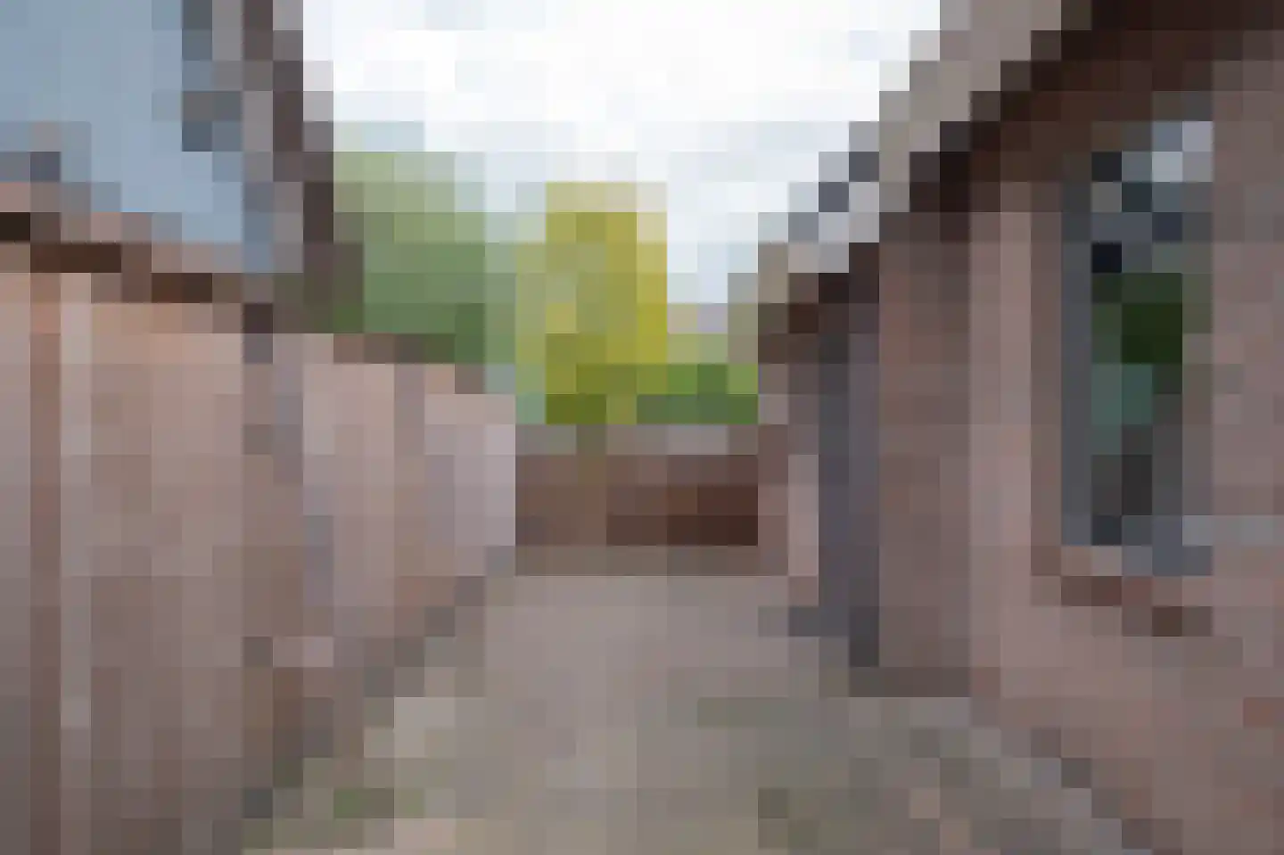 Brinkkampen 15 Spier thumbnail 31