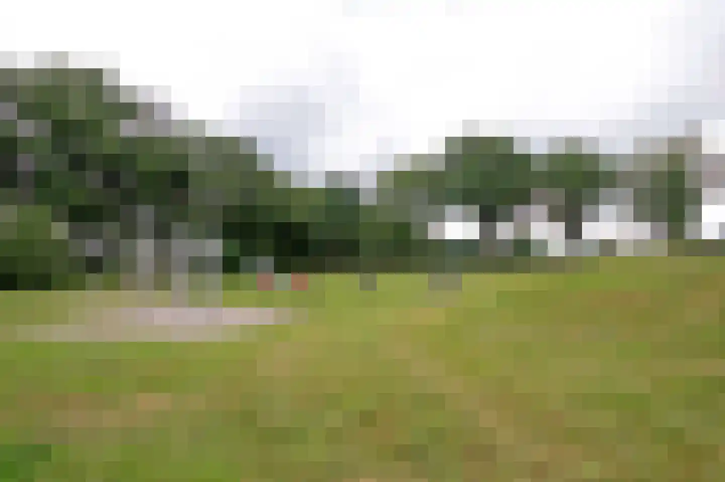 Brinkkampen 15 Spier thumbnail 39