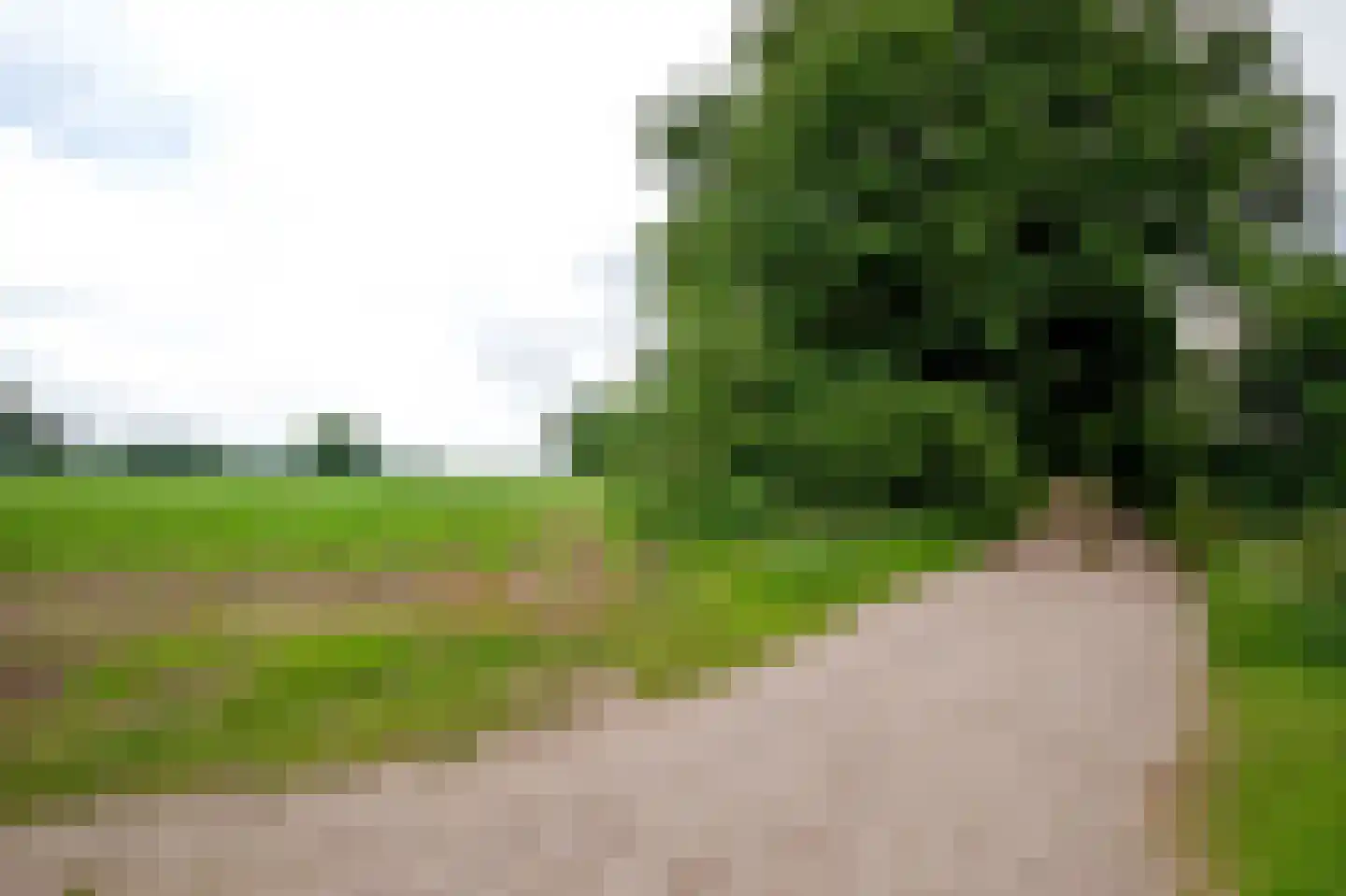 Brinkkampen 15 Spier thumbnail 40