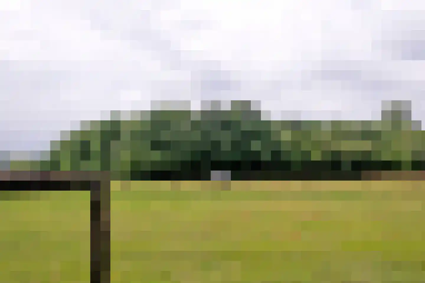 Brinkkampen 15 Spier thumbnail 43