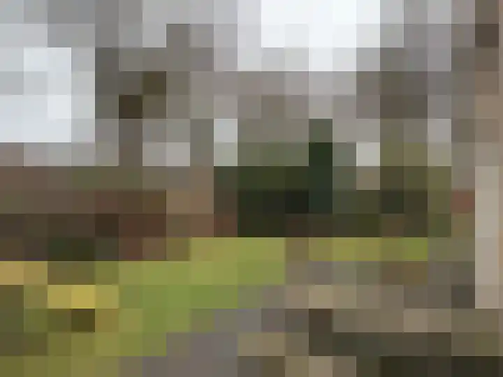 Brinkkampen 8 Dalen thumbnail 11
