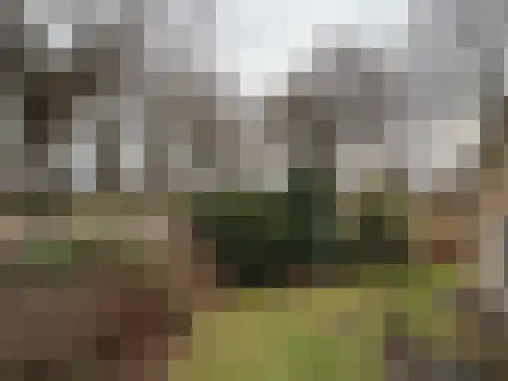 Brinkkampen 8 Dalen thumbnail 12