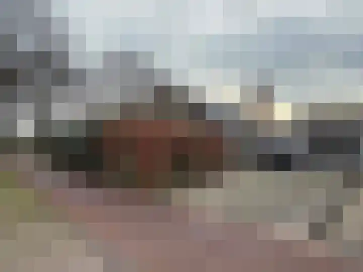 Brinkkampen 8 Dalen thumbnail 13