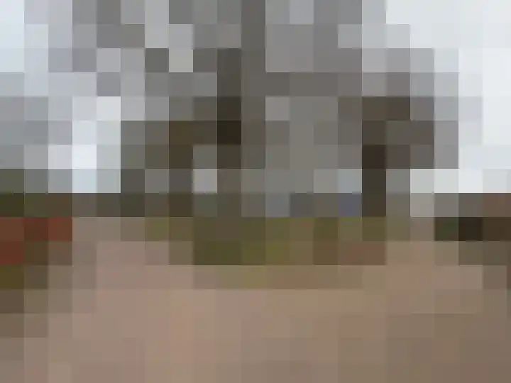 Brinkkampen 8 Dalen thumbnail 16