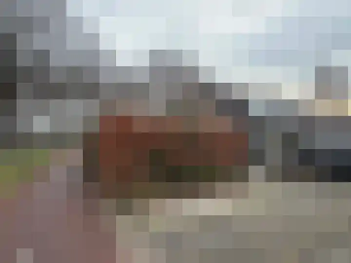 Brinkkampen 8 Dalen thumbnail 17