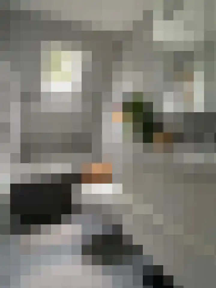 Brinkkampen 8 Dalen thumbnail 33
